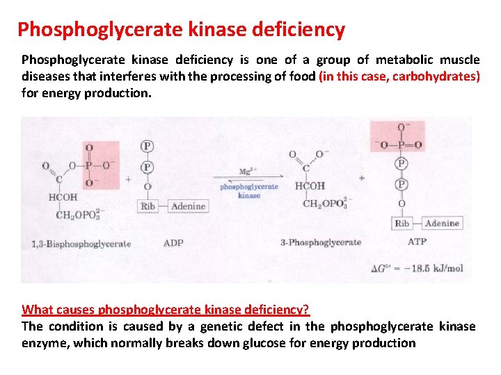 Phosphoglycerate kinase deficiency is one of a group of metabolic muscle diseases that interferes