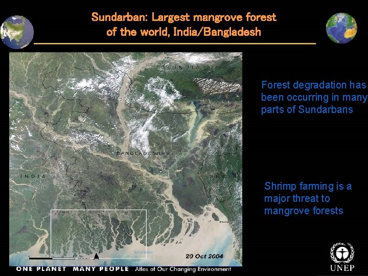 Sundarban: Largest mangrove forest of the world, India/Bangladesh Forest degradation has been occurring in