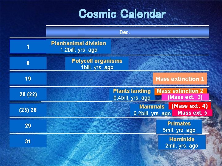 Cosmic Calendar Dec. 1 6 Plant/animal 脊椎動物 division 1. 2 bill. yrs. ago ５億年前
