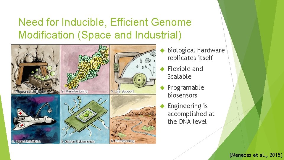 Need for Inducible, Efficient Genome Modification (Space and Industrial) Biological hardware replicates itself Flexible