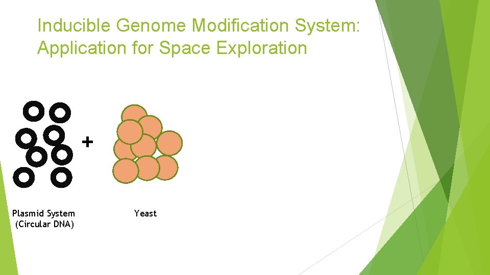 Inducible Genome Modification System: Application for Space Exploration + Plasmid System (Circular DNA) Yeast