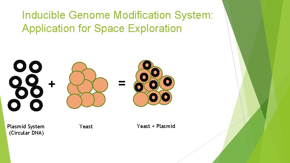 Inducible Genome Modification System: Application for Space Exploration = + Plasmid System (Circular DNA)