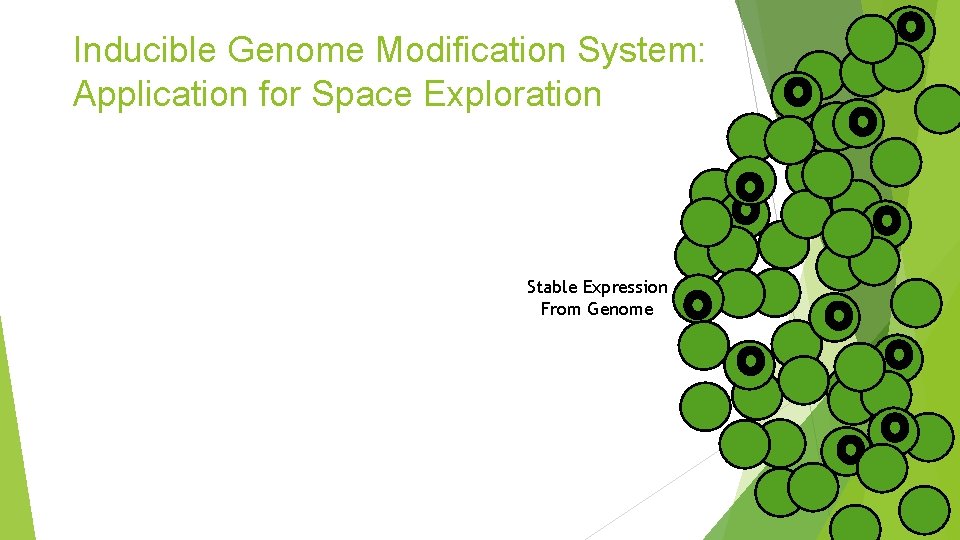 Inducible Genome Modification System: Application for Space Exploration Stable Expression From Genome 