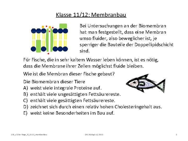 Klasse 11/12: Membranbau Bei Untersuchungen an der Biomembran hat man festgestellt, dass eine Membran