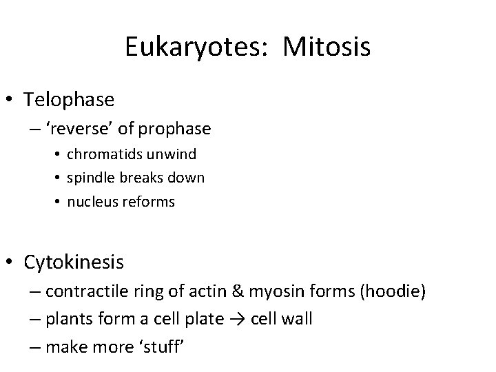 Eukaryotes: Mitosis • Telophase – ‘reverse’ of prophase • chromatids unwind • spindle breaks