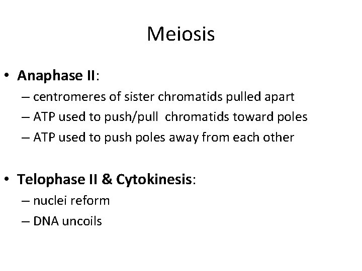 Meiosis • Anaphase II: – centromeres of sister chromatids pulled apart – ATP used
