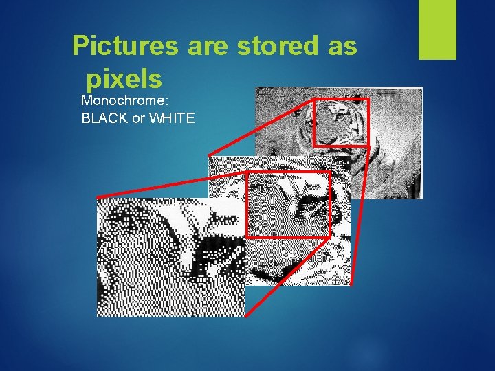 Pictures are stored as pixels Monochrome: BLACK or WHITE Pictures are stored as pixels Monochrome: BLACK or WHITE