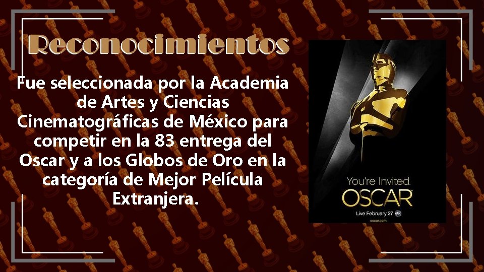 Fue seleccionada por la Academia de Artes y Ciencias Cinematográficas de México para competir