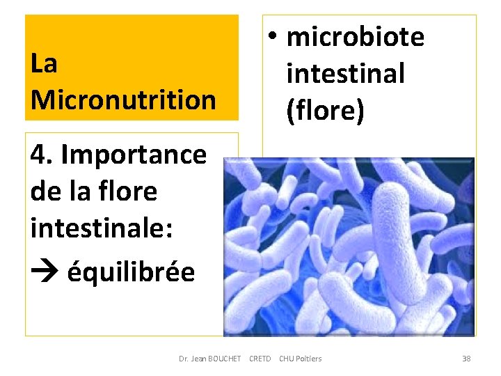 La Micronutrition • microbiote intestinal (flore) 4. Importance de la flore intestinale: équilibrée Dr.