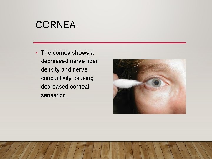 CORNEA • The cornea shows a decreased nerve fiber density and nerve conductivity causing