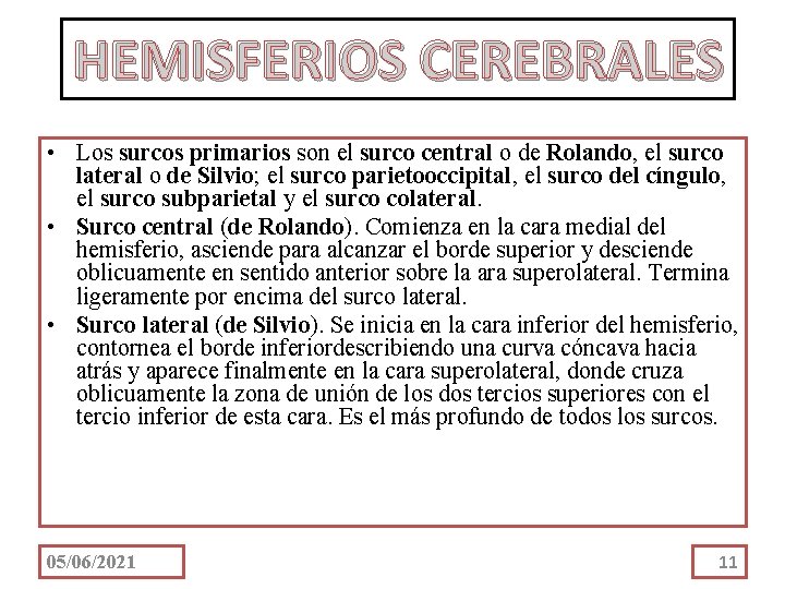 HEMISFERIOS CEREBRALES • Los surcos primarios son el surco central o de Rolando, el