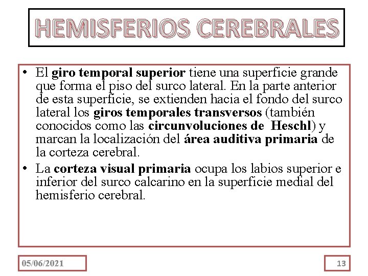 HEMISFERIOS CEREBRALES • El giro temporal superior tiene una superficie grande que forma el