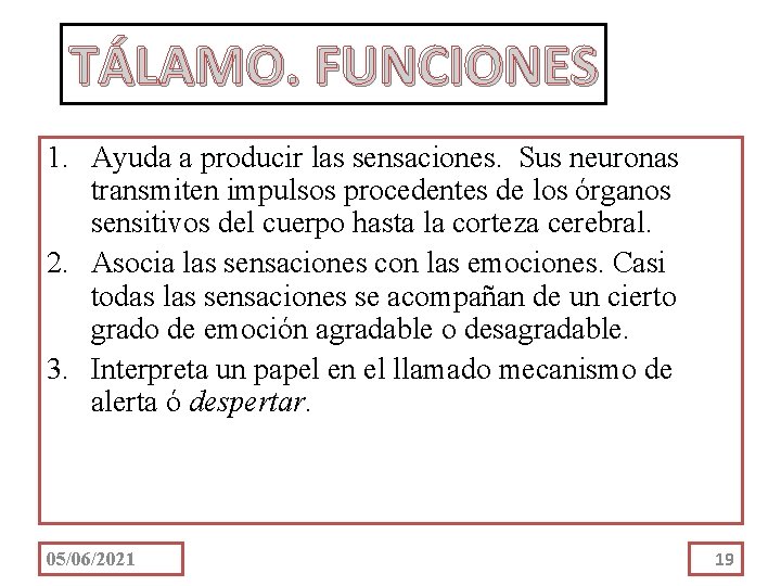 TÁLAMO. FUNCIONES 1. Ayuda a producir las sensaciones. Sus neuronas transmiten impulsos procedentes de
