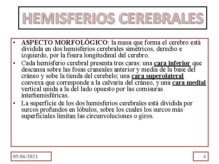 HEMISFERIOS CEREBRALES • ASPECTO MORFOLÓGICO: la masa que forma el cerebro está dividida en