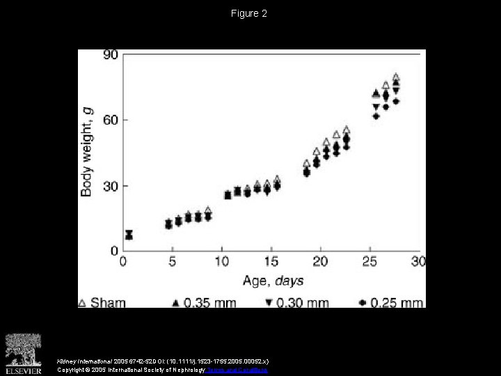 Figure 2 Kidney International 2005 6742 -52 DOI: (10. 1111/j. 1523 -1755. 2005. 00052.