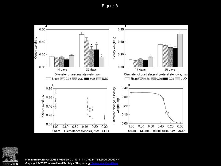 Figure 3 Kidney International 2005 6742 -52 DOI: (10. 1111/j. 1523 -1755. 2005. 00052.