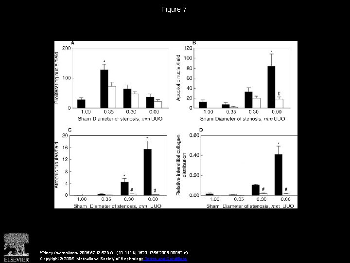 Figure 7 Kidney International 2005 6742 -52 DOI: (10. 1111/j. 1523 -1755. 2005. 00052.