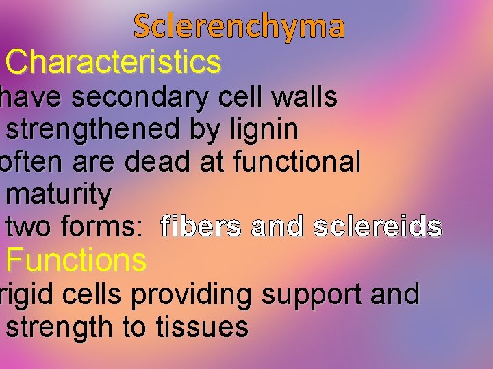 Sclerenchyma Characteristics have secondary cell walls strengthened by lignin often are dead at functional