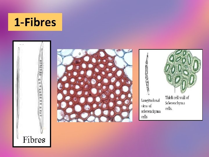 1 -Fibres 