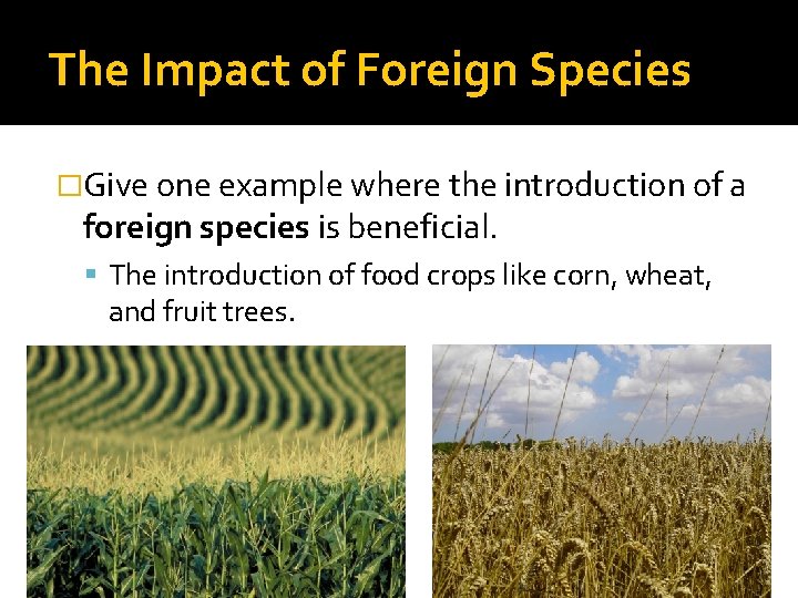 The Impact of Foreign Species �Give one example where the introduction of a foreign