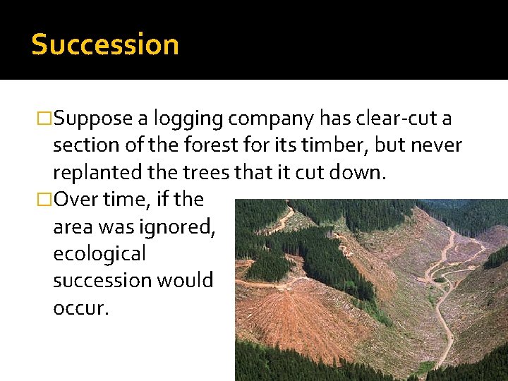 Succession �Suppose a logging company has clear-cut a section of the forest for its