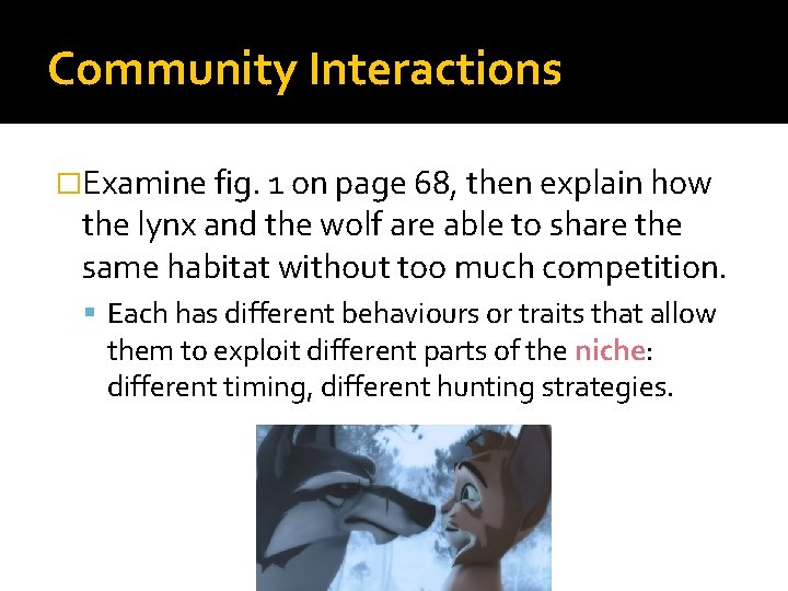 Community Interactions �Examine fig. 1 on page 68, then explain how the lynx and