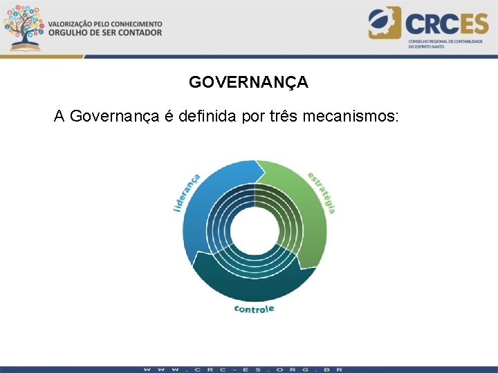 GOVERNANÇA A Governança é definida por três mecanismos: 