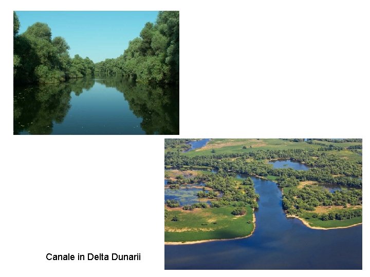 Canale in Delta Dunarii Canale in Delta Dunarii