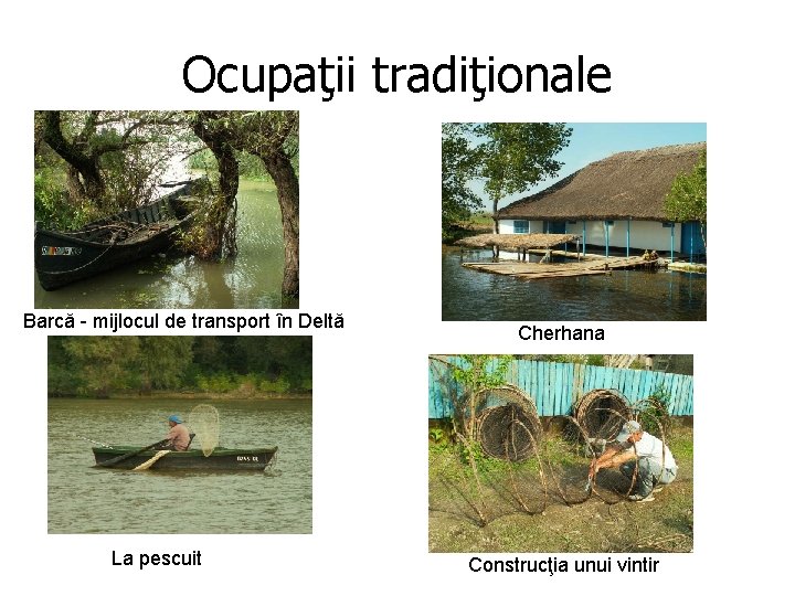 Ocupaţii tradiţionale Barcă - mijlocul de transport în Deltă La pescuit Cherhana Construcţia unui Ocupaţii tradiţionale Barcă - mijlocul de transport în Deltă La pescuit Cherhana Construcţia unui