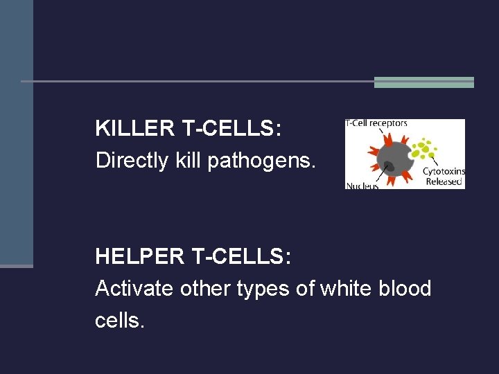 KILLER T-CELLS: Directly kill pathogens. HELPER T-CELLS: Activate other types of white blood cells.