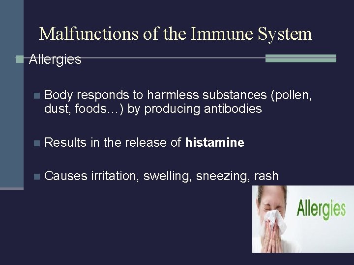 Malfunctions of the Immune System n Allergies n Body responds to harmless substances (pollen,