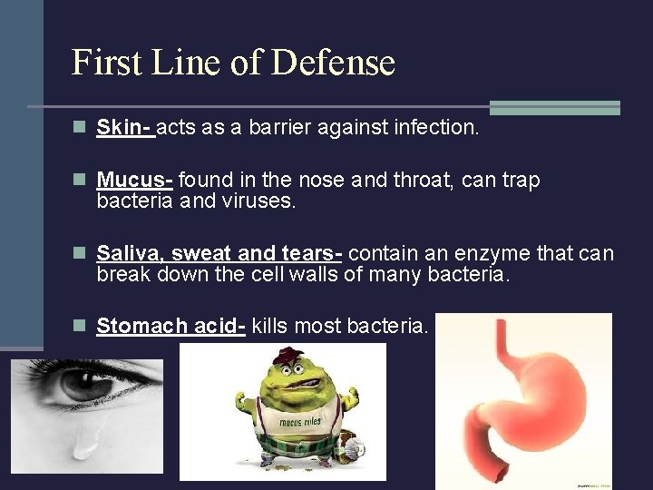 First Line of Defense n Skin- acts as a barrier against infection. n Mucus-