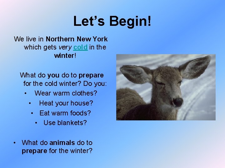 Let’s Begin! We live in Northern New York which gets very cold in the