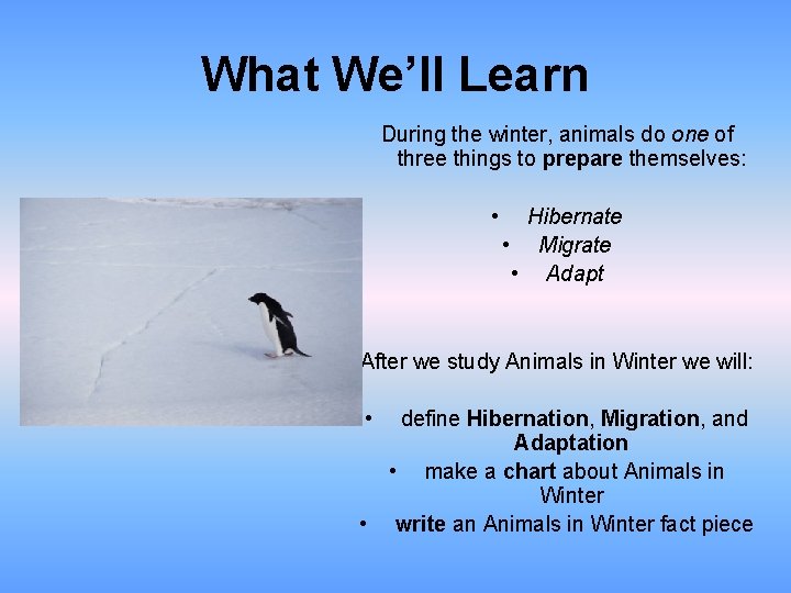 What We’ll Learn During the winter, animals do one of three things to prepare