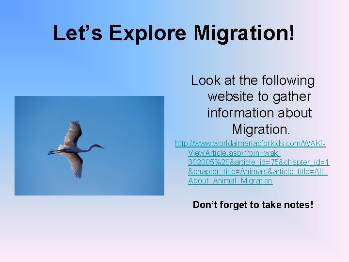 Let’s Explore Migration! Look at the following website to gather information about Migration. http: