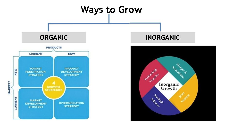 Ways to Grow ORGANIC INORGANIC 