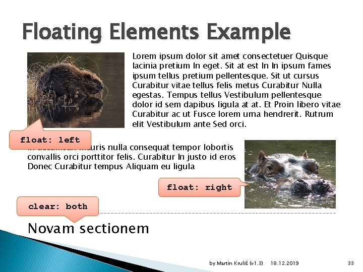 Floating Elements Example Lorem ipsum dolor sit amet consectetuer Quisque lacinia pretium In eget.