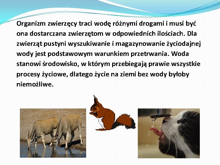 Organizm zwierzęcy traci wodę różnymi drogami i musi być ona dostarczana zwierzętom w odpowiednich