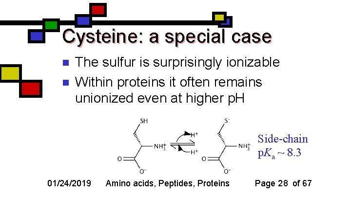 Cysteine: a special case n n The sulfur is surprisingly ionizable Within proteins it
