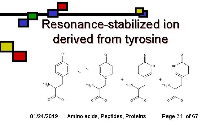 Resonance-stabilized ion derived from tyrosine 01/24/2019 Amino acids, Peptides, Proteins Page 31 of 67