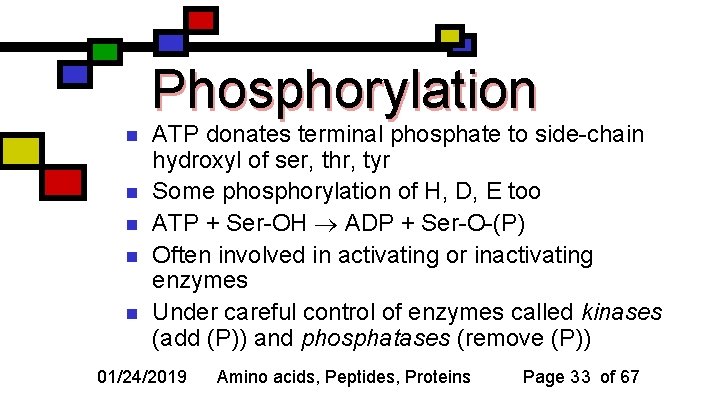 Phosphorylation n n ATP donates terminal phosphate to side-chain hydroxyl of ser, thr, tyr