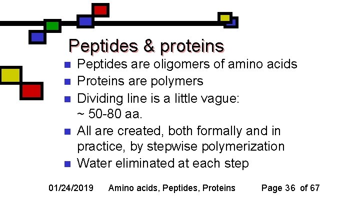 Peptides & proteins n n n Peptides are oligomers of amino acids Proteins are