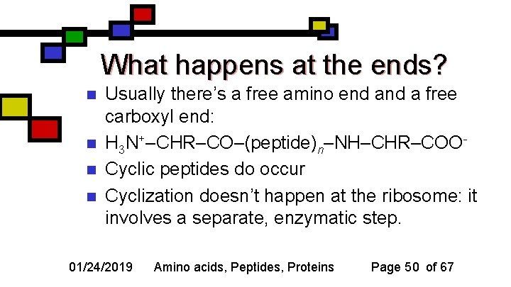 What happens at the ends? n n Usually there’s a free amino end a