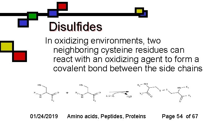Disulfides In oxidizing environments, two neighboring cysteine residues can react with an oxidizing agent