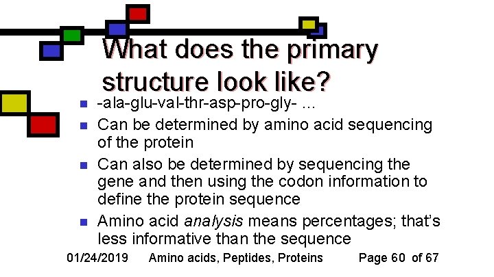 n n What does the primary structure look like? -ala-glu-val-thr-asp-pro-gly- … Can be determined