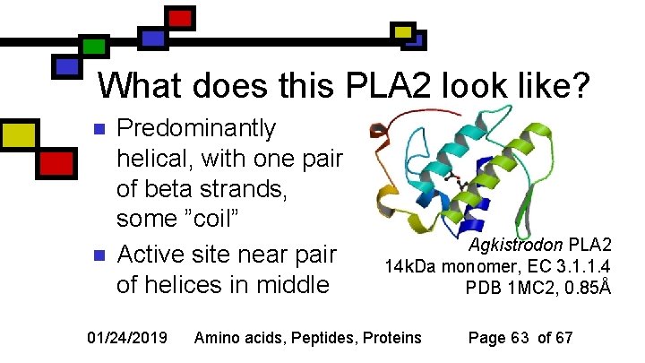 What does this PLA 2 look like? n n Predominantly helical, with one pair