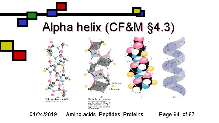 Alpha helix (CF&M § 4. 3) 01/24/2019 Amino acids, Peptides, Proteins Page 64 of