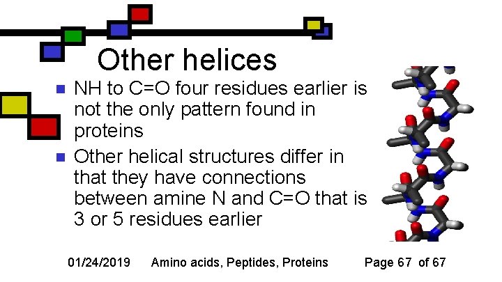 Other helices n n NH to C=O four residues earlier is not the only