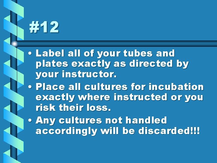#12 • Label all of your tubes and plates exactly as directed by your