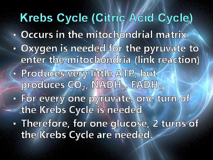 Krebs Cycle (Citric Acid Cycle) • Occurs in the mitochondrial matrix • Oxygen is